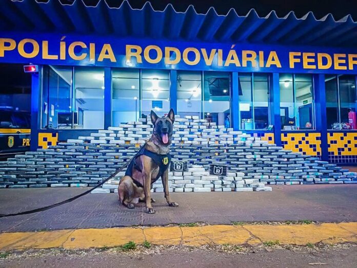 PRF apreende 400 quilos de cocaína e 100 munições em rodovia de Mato Grosso