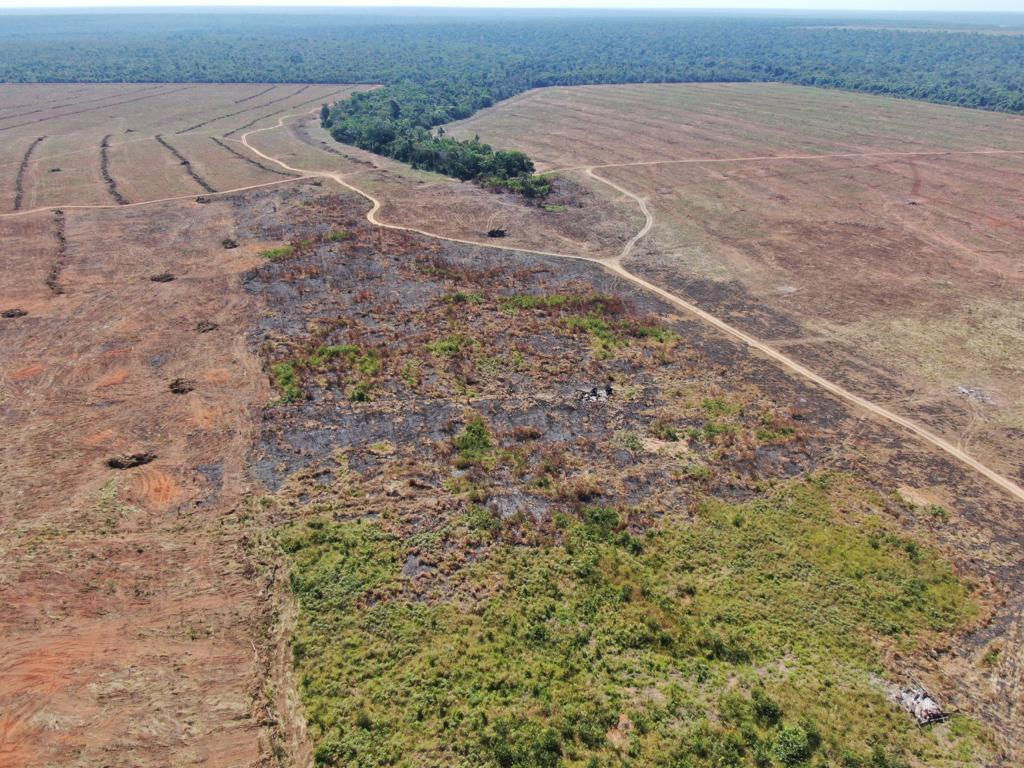 Alta Floresta, Apiacás, Nova Bandeirantes e outros municípios do Nortão estão em programa de combate degradação ambiental