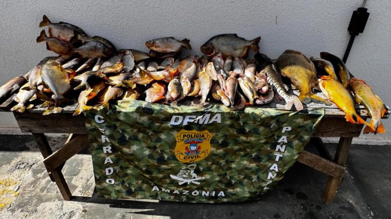 Polícia Civil prende pescador profissional que comercializava pescado irregular em Várzea Grande