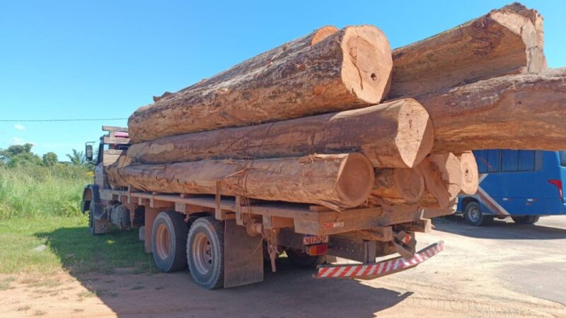 Alta Floresta: motorista é flagrado transportando carga de madeira irregular