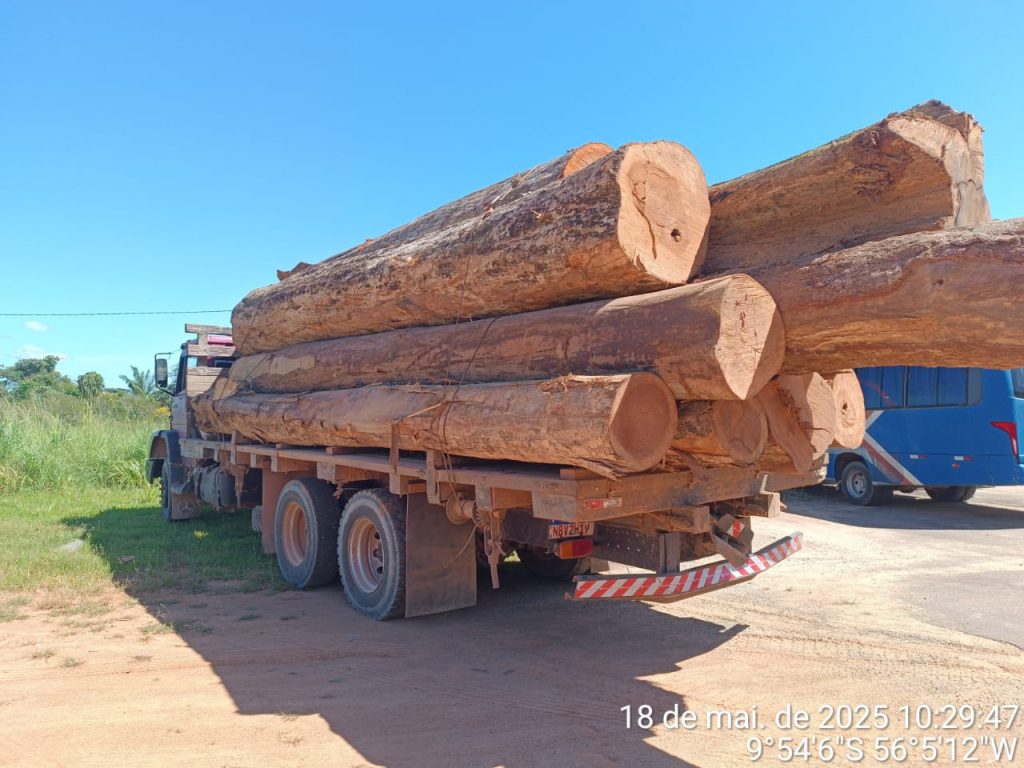 Alta Floresta: motorista é flagrado transportando carga de madeira irregular