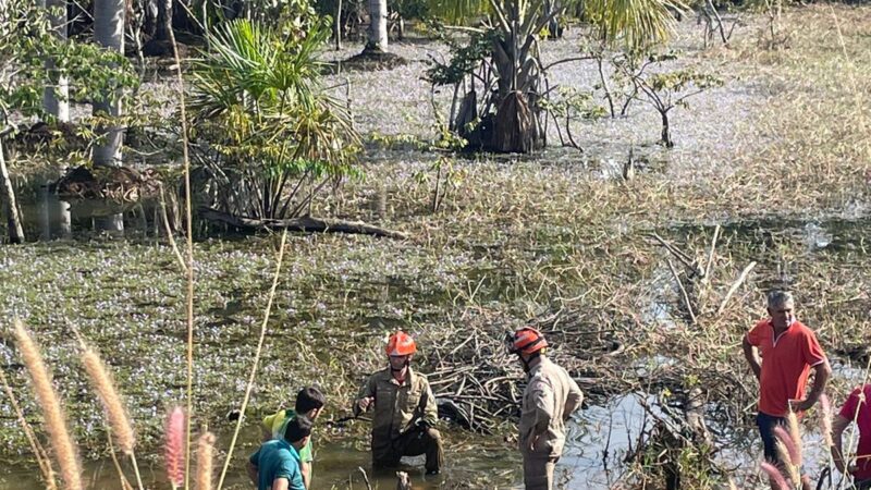 Mais um acidente grave registrado na MT 419 um dos veículos caiu em pântano; um morto e dois feridos.