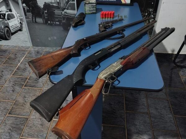 Polícia Militar apreende armas de fogo, munições e prende mulher por porte ilegal