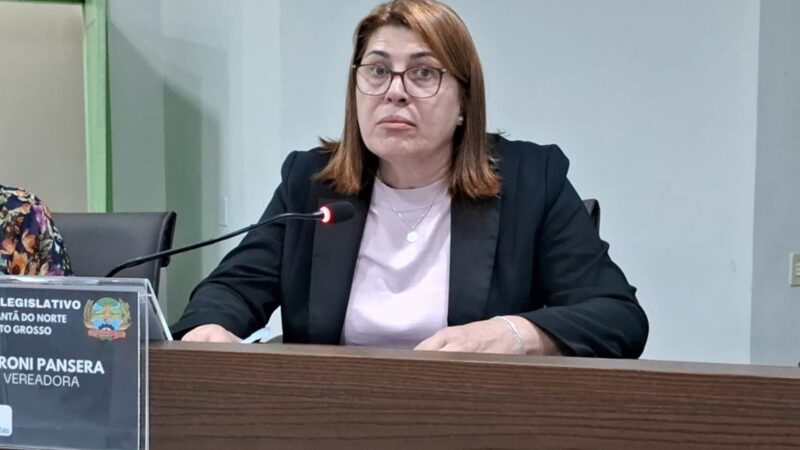 Vereadora Veroni Pansera solicita instalação de parquinho infantil e ponto de ônibus coberto na Linha Oeste
