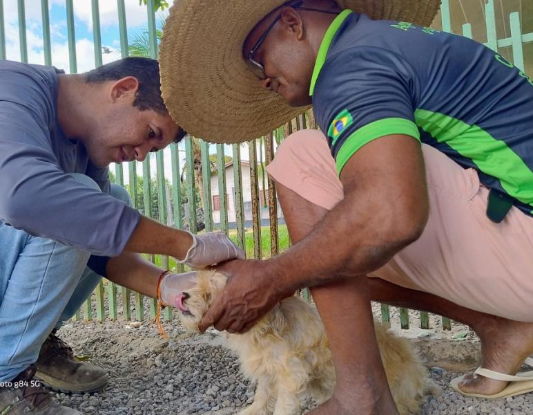 Vigilância Realiza Ação de Monitoramento à Leishmaniose em Matupá