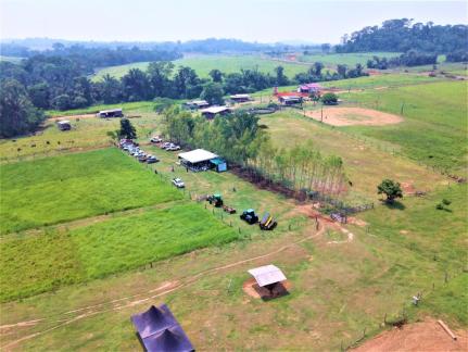 Parceria entre Sebrae e IDH contribui para a preservação da Floresta Amazônica em propriedades rurais