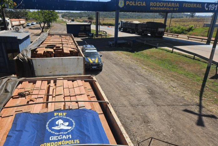 Carga de madeireira irregular carregada em Sinop é apreendida pela PRF