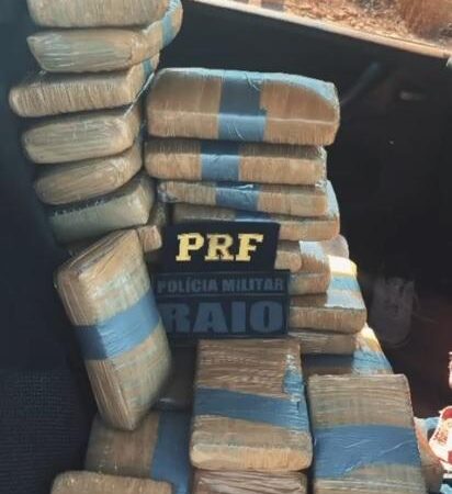Ação integrada da PM e PRF apreende 30 quilos de entorpecentes em Pedra Preta
