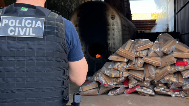 Polícia Civil incinera mais de 900 kg de maconha apreendidos em ação contra facção em Rondonópolis