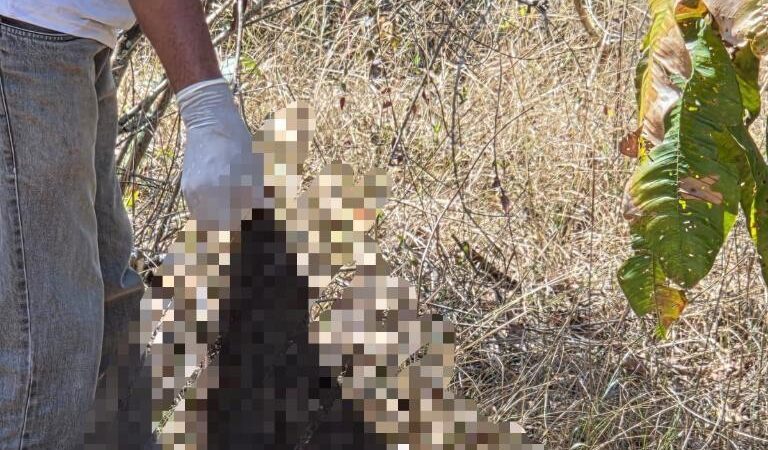 Ossada encontrada pela Polícia Civil revela indícios de tortura e decapitação