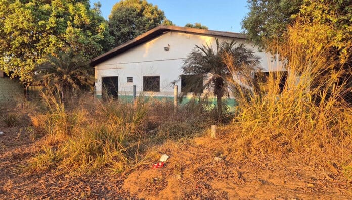 Mulher é assassinada a tiros em Sinop; perito indica ‘característica de execução’