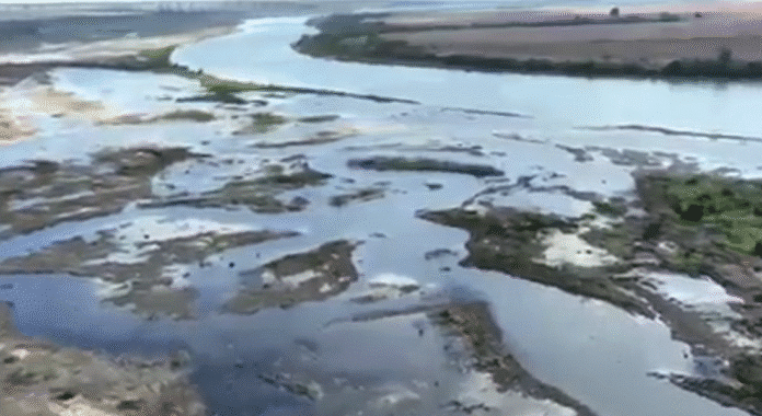 Indígenas fazem cobranças após usina rebaixar reservatório em Colíder; ‘peixes mortos e água suja’