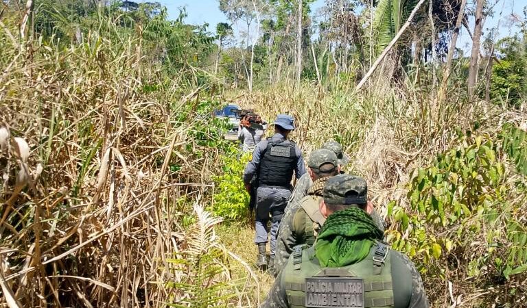 Polícia Militar fecha área de desmatamento ilegal em fazenda e prende três homens em flagrante
