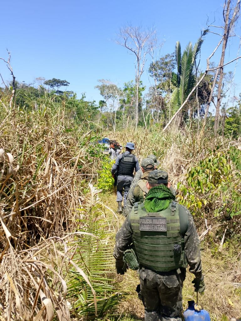 Polícia Militar fecha área de desmatamento ilegal em fazenda e prende três homens em flagrante
