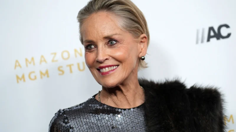 Sharon Stone diz que ainda ganha mais como modelo do que como atriz