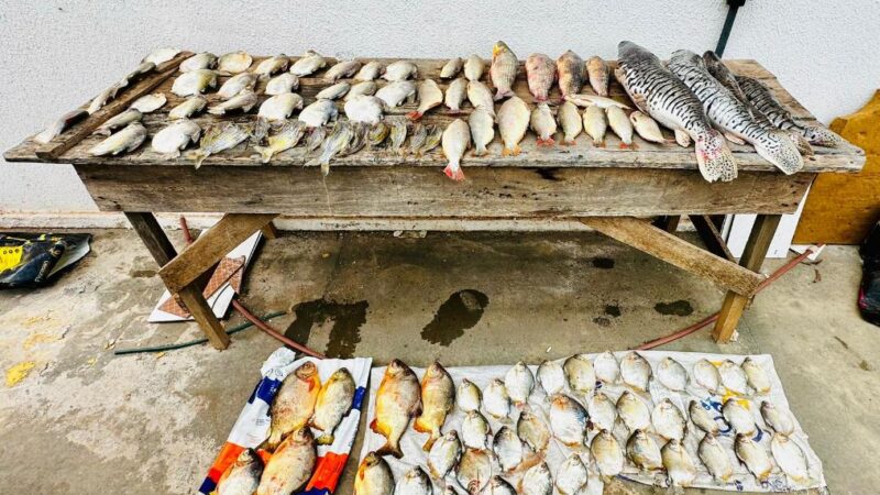 Polícia Militar e Sema apreenderam 47 quilos de pescado em Barão de Melgaço