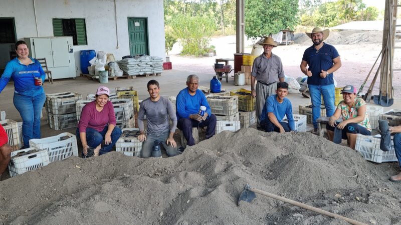 Secretaria de Agricultura e Coopernova incentivam produtores de cacau com espaço e substrato para início das primeiras mudas