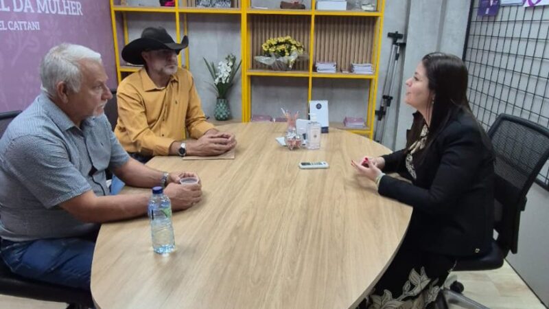 CÂMARA DE GUARANTÃ DO NORTE BUSCA COMBATER A VIOLÊNCIA CONTRA A MULHER COM INSPIRAÇÃO EM PROJETO ESTADUAL.