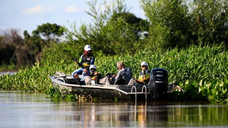 Pescadores e estabelecimentos têm até 3 de outubro para declarar estoque de peixes antes da piracem