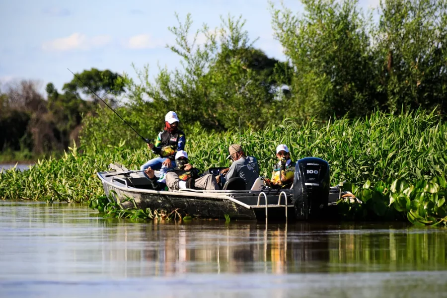 Pescadores e estabelecimentos têm até 3 de outubro para declarar estoque de peixes antes da piracem