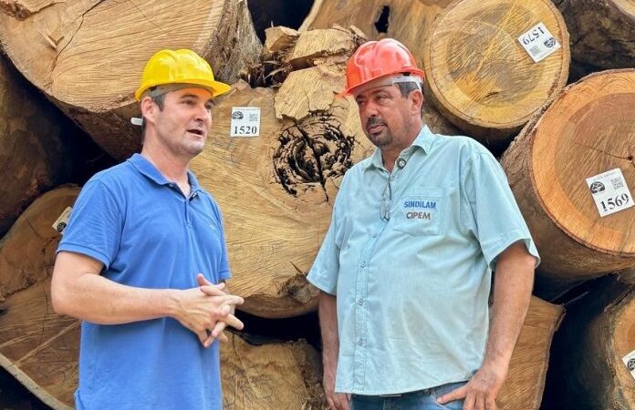 Presidente do Cipem percorre indústrias de Aripuanã e fortalece diálogo com o setor florestal