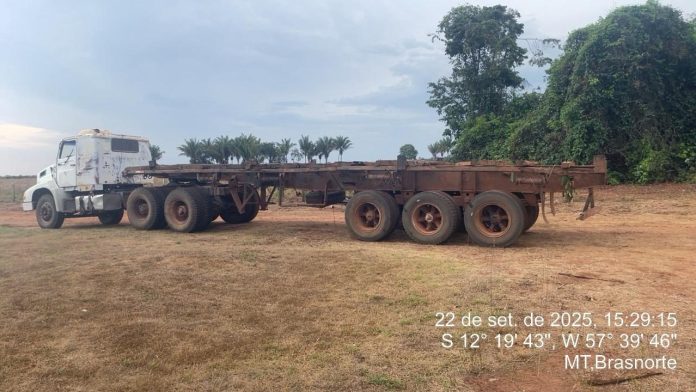 Operação Amazônia flagra desmatamento ilegal, apreende veículos e madeira no interior de MT