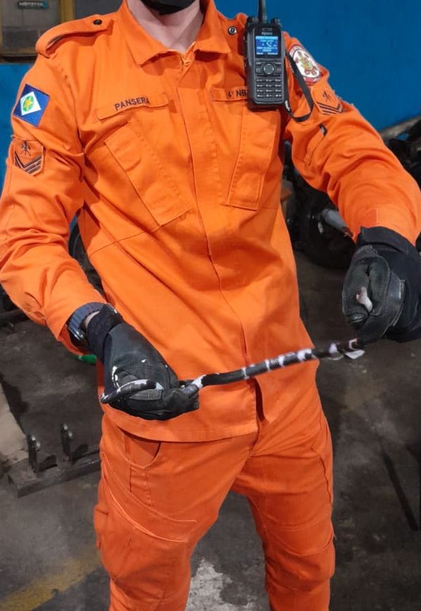 Corpo de Bombeiros retira cobra serpente no interior de uma motocicleta em Guarantã do Norte