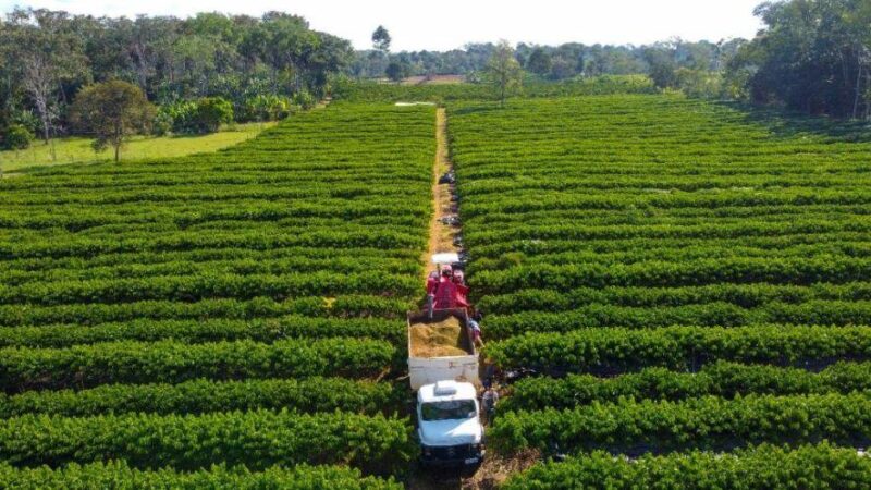 Governo de Mato Grosso isenta taxa de inscrição estadual para produtores rurais
