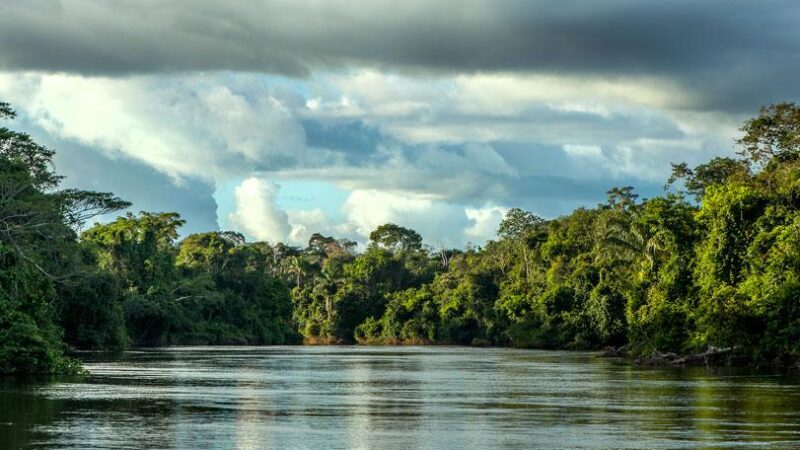 Governo de MT faz parceria com O.N.E. Amazon para investimento em projetos sustentáveis no Estado