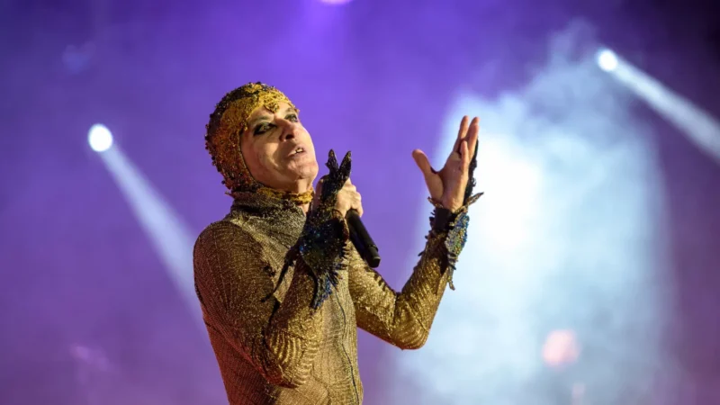 Ney Matogrosso diz que está entregue ao Carnaval