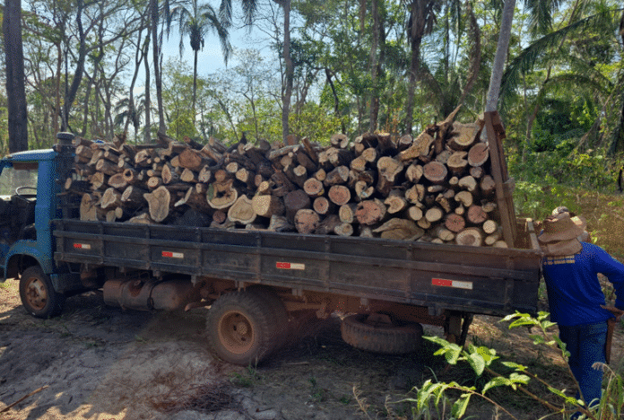 Polícia Federal faz operação contra invasão de terras e desmatamento em Mato Grosso