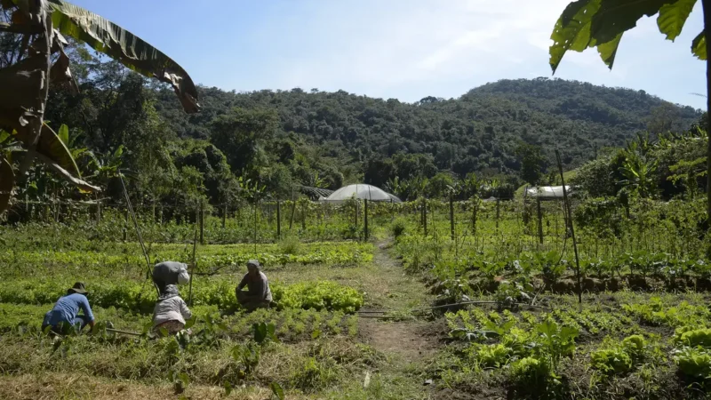 Mais de 1,4 mil municípios estão aptos às linhas de crédito para liquidar ou amortizar dívidas rurais; veja lista