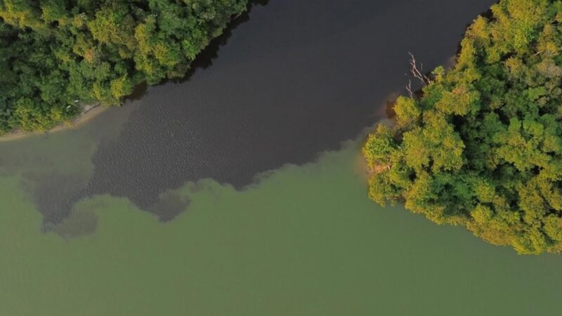 Fotógrafo registra encontro das águas dos rios Cristalino e Teles Pires em Alta Floresta