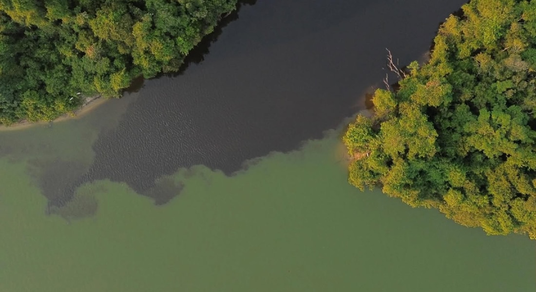 Fotógrafo registra encontro das águas dos rios Cristalino e Teles Pires em Alta Floresta