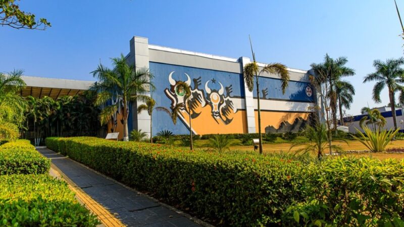 Governo de MT vai apresentar produção de alimentos com sustentabilidade na COP 30