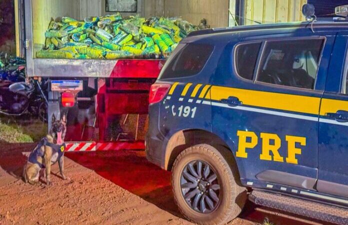PRF localiza mais de uma tonelada de “supermaconha” em Mato Grosso; maior apreensão do ano