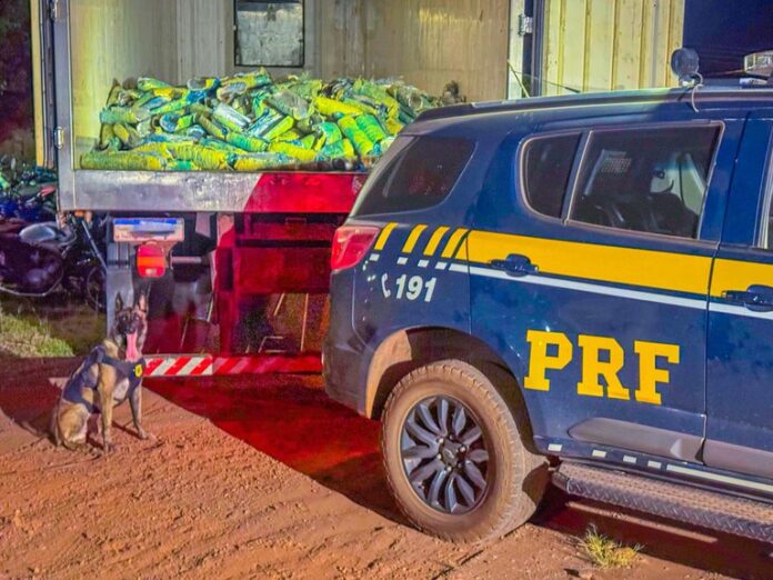 PRF localiza mais de uma tonelada de “supermaconha” em Mato Grosso; maior apreensão do ano