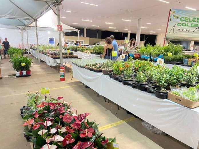 15ª Expo Verde e Flor será realizada no mês de dezembro em Alta Floresta