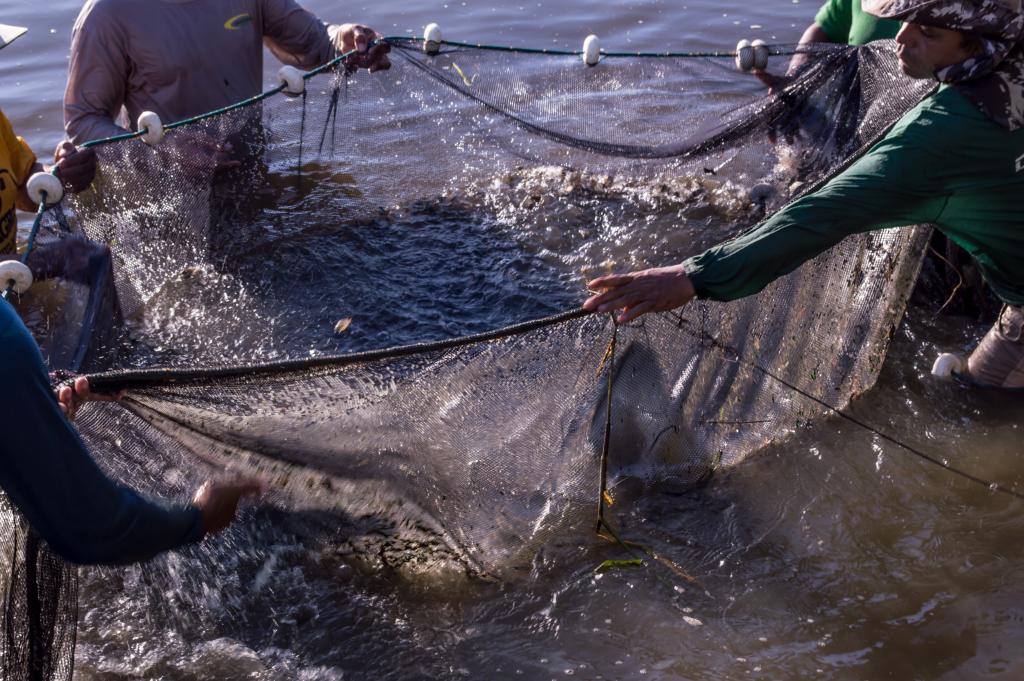 Sedec e Prefeitura de Paranaíta firmam convênio para instalar fábrica municipal de ração para peixes