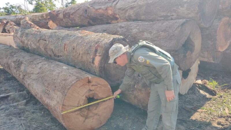 Sema apreende maquinário e aplica R$ 130 mil em multas por desmate ilegal em Apiacás