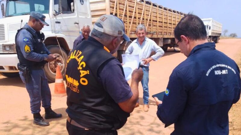 Decreto altera prazo, unifica ritos e propõe descontos em pagamentos de autos de infrações aplicados pelo Indea