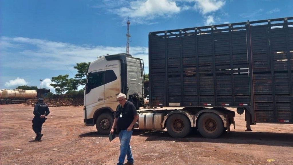 Fiscalização flagra motorista com Guia de Trânsito Animal (GTA) falsa