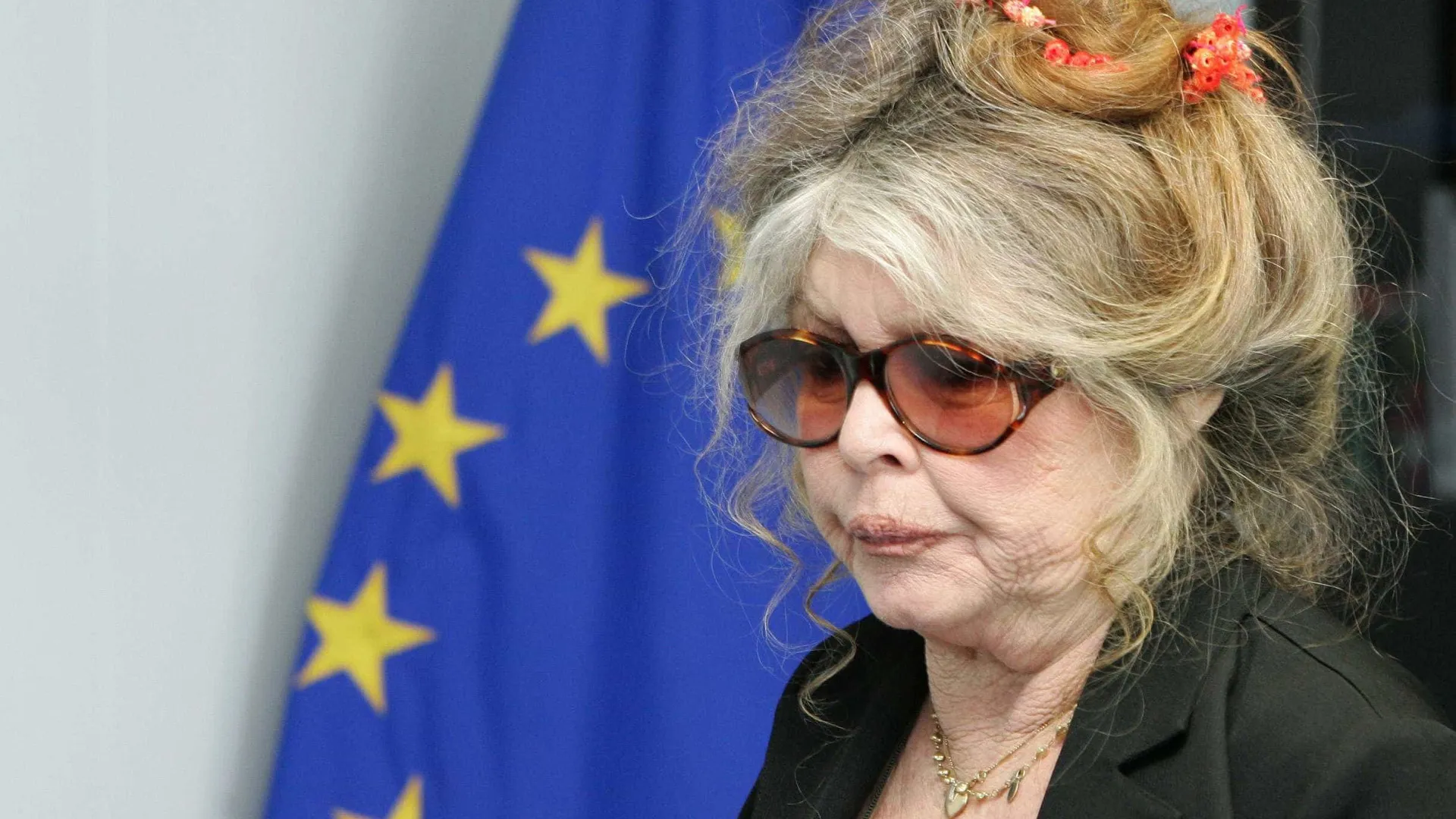 Brigitte Bardot é internada na França um mês depois de receber alta após cirurgia