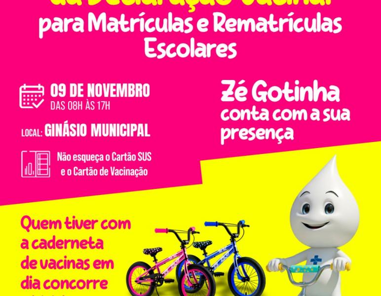 DIA D DA DECLARAÇÃO VACINAL!