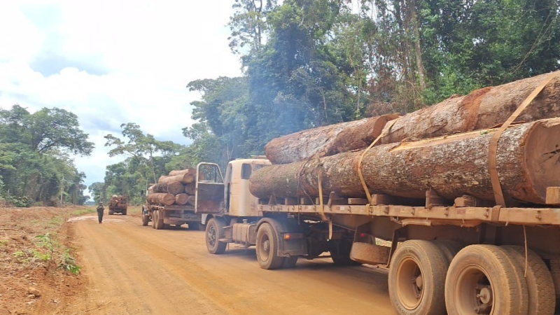 Polícia Militar apreende mais de 100m³ de madeira ilegal em Feliz Natal