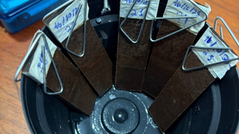 Combate à Dengue em Matupá: Vigilância Intensifica Ações e Pode Aplicar Multas