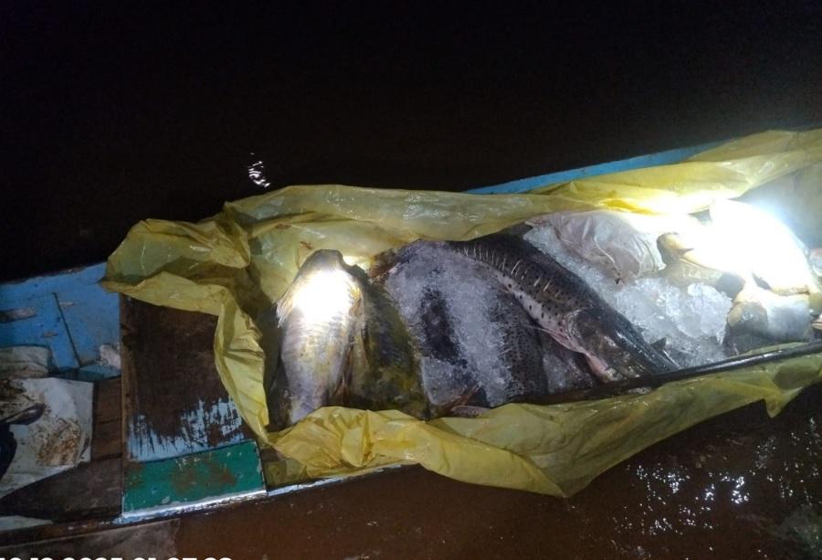 Batalhão Ambiental da PM apreende 182 quilos de pescado irregular durante fiscalização no Rio Vermelho
