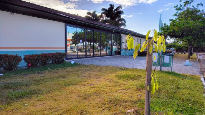 Prefeitura de Alta Floresta cria grupo técnico para acompanhar uso de inteligência artificial na gestão fiscal