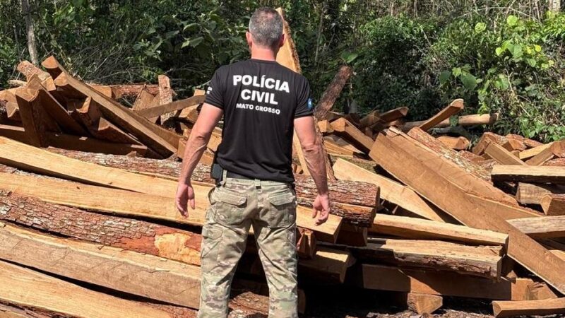 Polícia Civil intensifica ações de combate ao desmatamento ilegal de madeira Itaúba em Comodoro