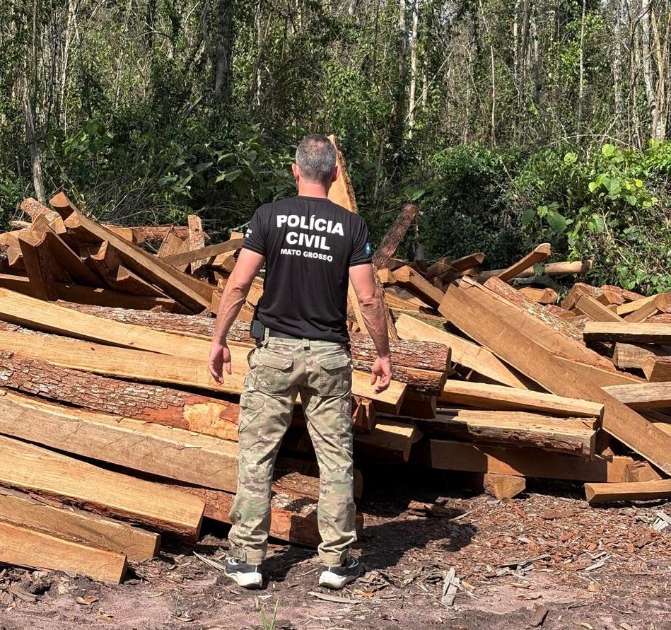 Polícia Civil intensifica ações de combate ao desmatamento ilegal de madeira Itaúba em Comodoro